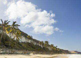 Como ter renda todos os meses para viajar? Estude esse passo a passo renda todos os meses para viajar