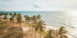 Planejamento de viagem de ônibus para a praia – tudo o que você tem que saber Planejamento de viagem de ônibus para a praia