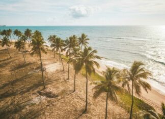 Planejamento de viagem de ônibus para a praia – tudo o que você tem que saber Planejamento de viagem de ônibus para a praia