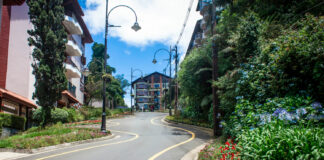 Aprenda como pesquisar os pacotes de viagens para Gramado na CVC pacotes de viagens para Gramado na CVC