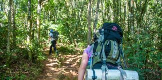 Saiba o que levar para acampar – 5 itens que quase todo mundo esquece o que levar para acampar