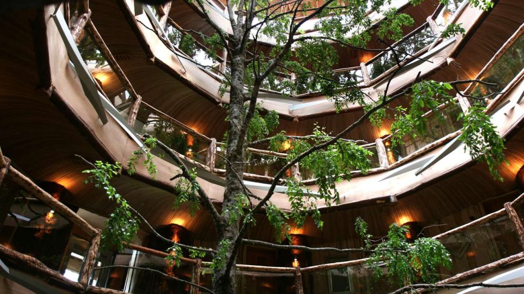 Hotel Nothofagus