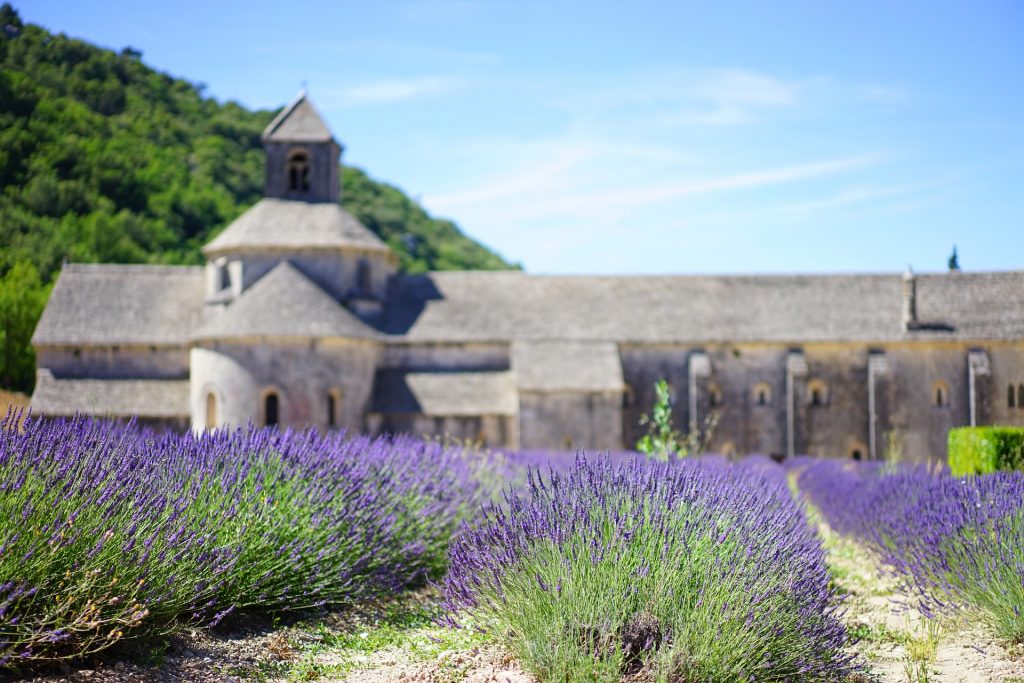 conhecer Provence