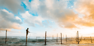 Top 15 Beaches in Sri Lanka to Visit on Vacations The most beautiful beaches in Sri Lanka: do you want to discover them? Let's go !