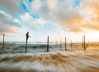 Top 15 Beaches in Sri Lanka to Visit on Vacations The most beautiful beaches in Sri Lanka: do you want to discover them? Let's go !