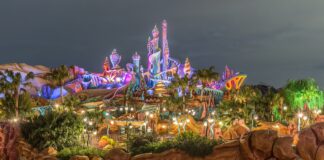 Top 15 Disney Travel Agents: How to Make Your Trip Easy
