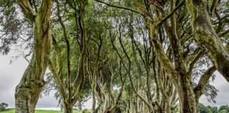 Discover the Game of Thrones Film Locations