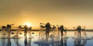 Vietnam Trip Guide: Best Places & Secret Tips