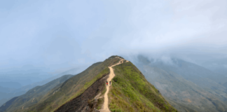 Essential Rocky Mountaineer Travel Tips You Need to Know