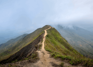 Essential Rocky Mountaineer Travel Tips You Need to Know